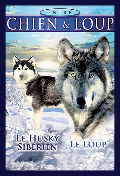 Between Dog and Wolf poster