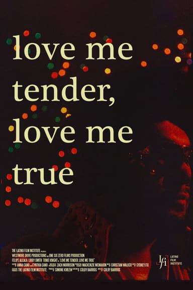 Love Me Tender, Love Me True poster