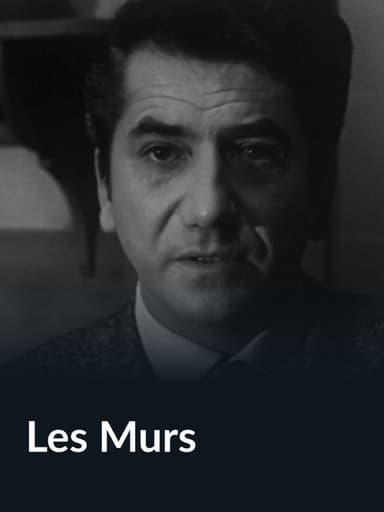 Les murs poster
