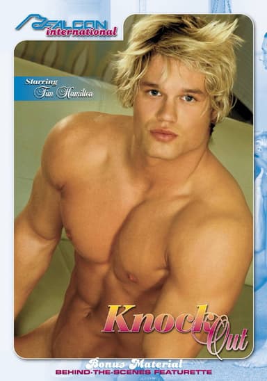 Knock Out poster