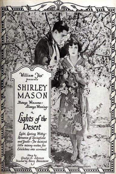 Lights of the Desert poster