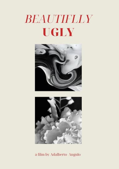 Beautifully Ugly poster