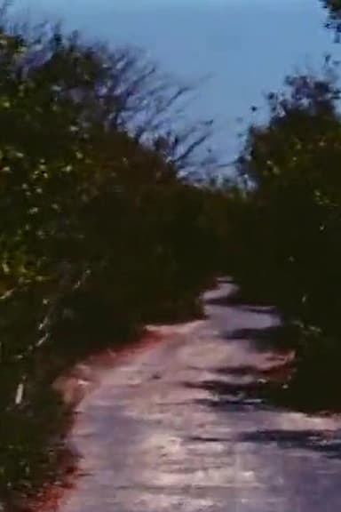 Road to Nowhere poster