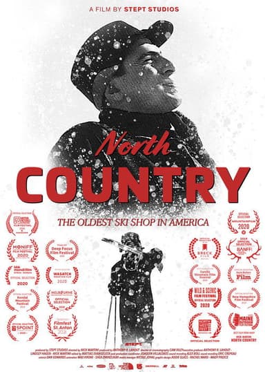 North Country poster