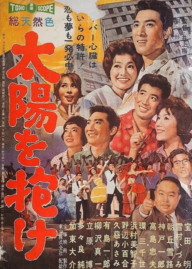 Singing in the Sun poster