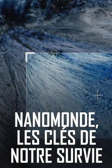Nanoworld, the key to our survival poster