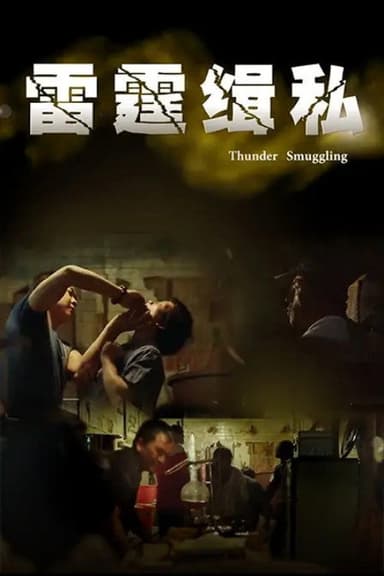 雷霆缉私 poster