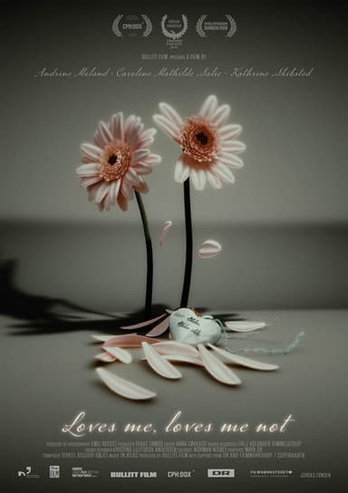 Loves Me, Loves Me Not poster