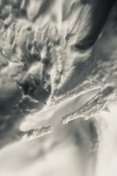 Rough Texture / Pilot Run poster