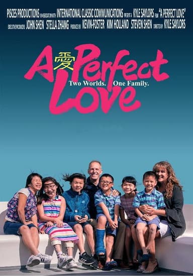 A Perfect Love poster
