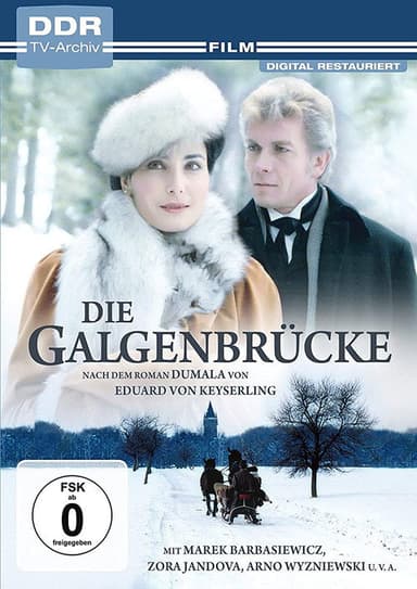 Die Galgenbrücke poster