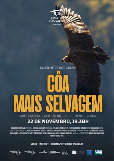 Wilder Côa poster