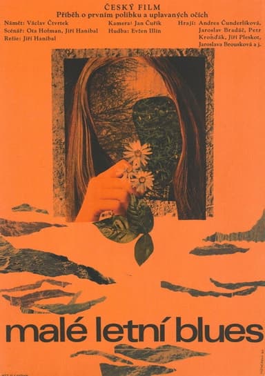 Malé letní blues poster