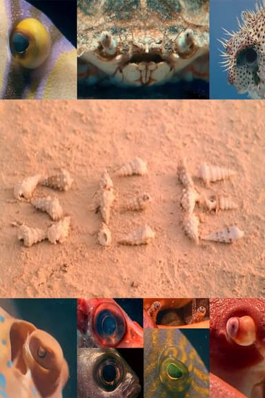 SEE poster