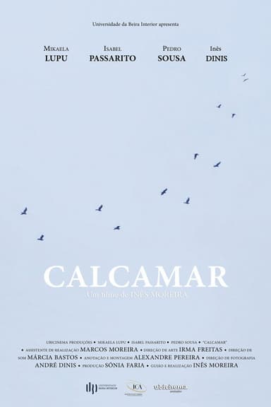 Calcamar poster
