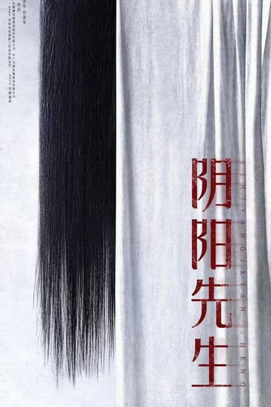 Mr Yin-Yang poster