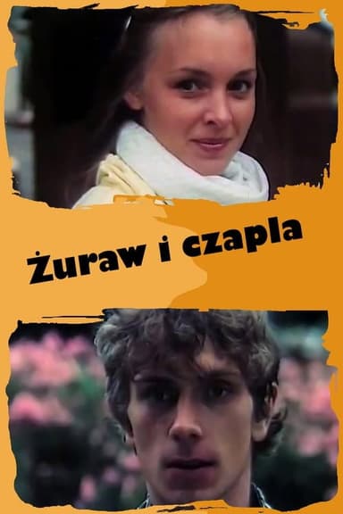 Żuraw i czapla poster