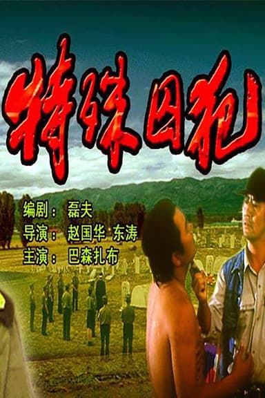 特殊囚犯 poster
