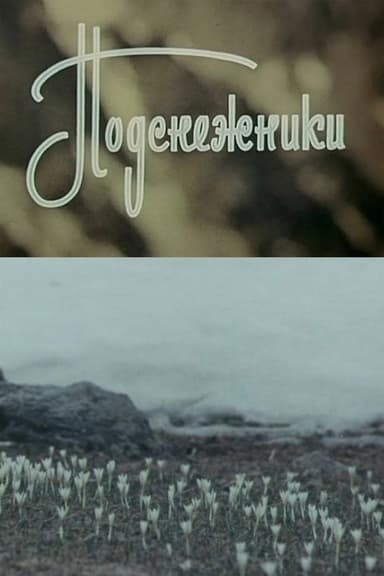 Snowdrops poster
