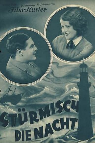 Stormy Night poster
