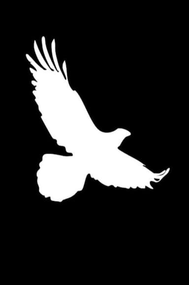 Bird on the Rise poster