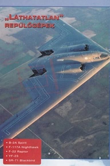 Combat in the Air - Stealth Warplanes poster