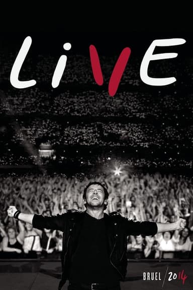 Il était une fois... Patrick Bruel poster