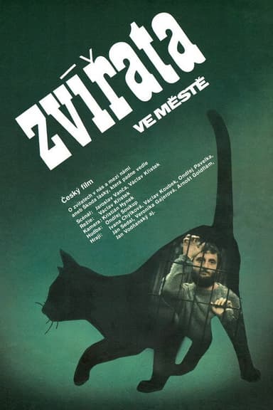 Zvířata ve městě poster