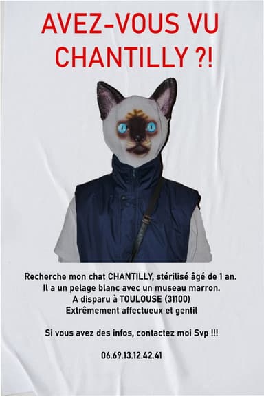 AVEZ-VOUS VU CHANTILLY ?! poster