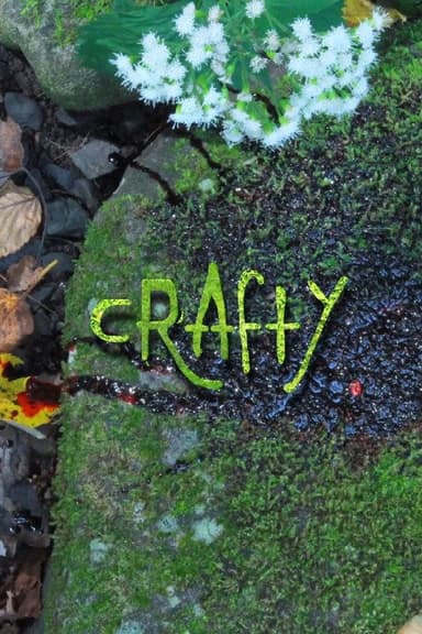 Crafty poster