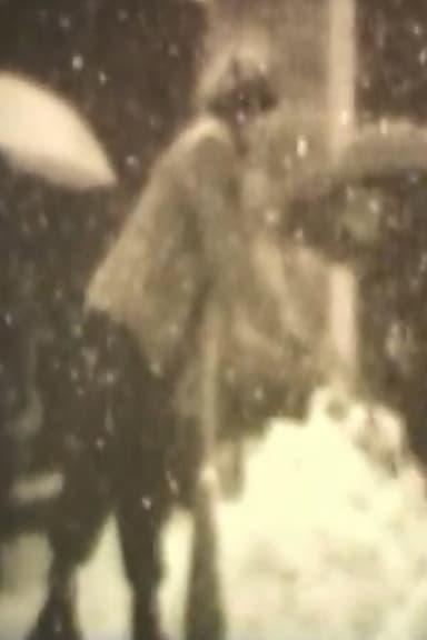 Winter 1994 poster