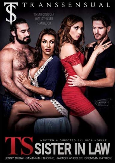 TS Sister In Law poster