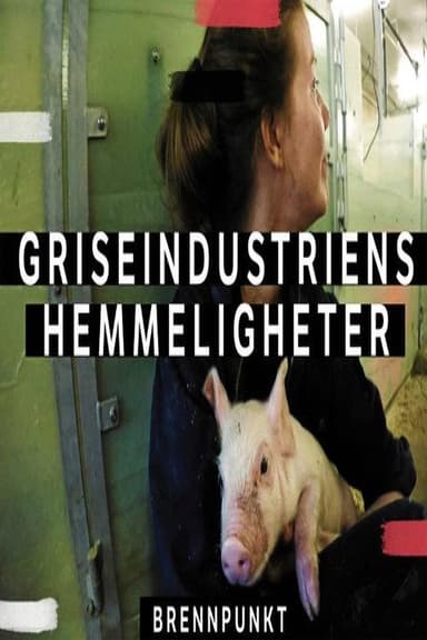 Griseindustriens hemmeligheter poster