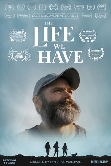 The Life We Have poster