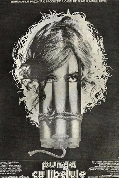 The Dragonfly Bag poster