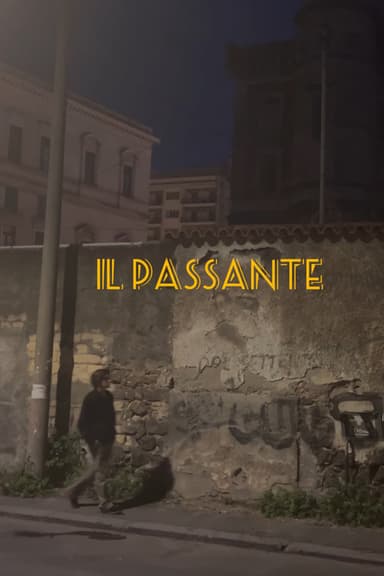 Il passante poster