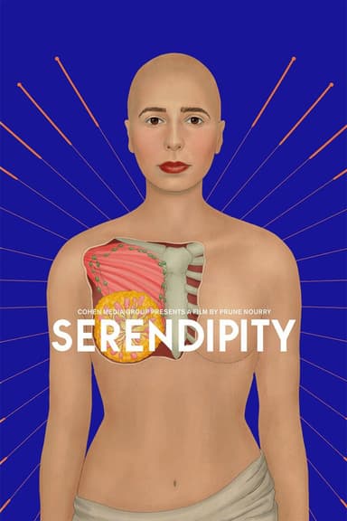 Serendipity poster