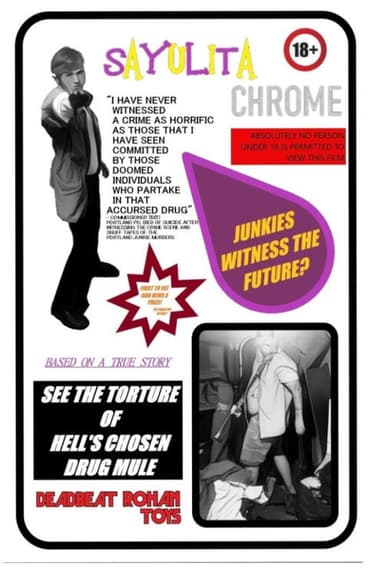 Sayulita Chrome poster