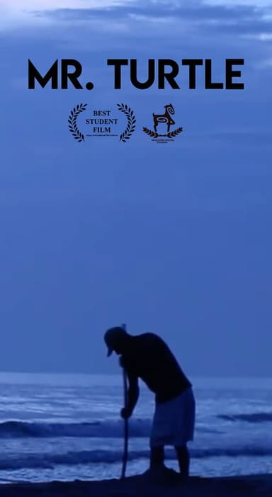 Mr. Turtle poster