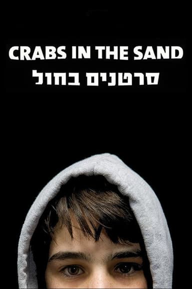 Crabs in the Sand poster