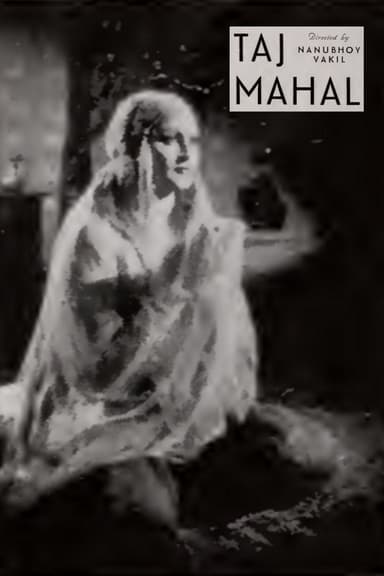 Taj Mahal poster