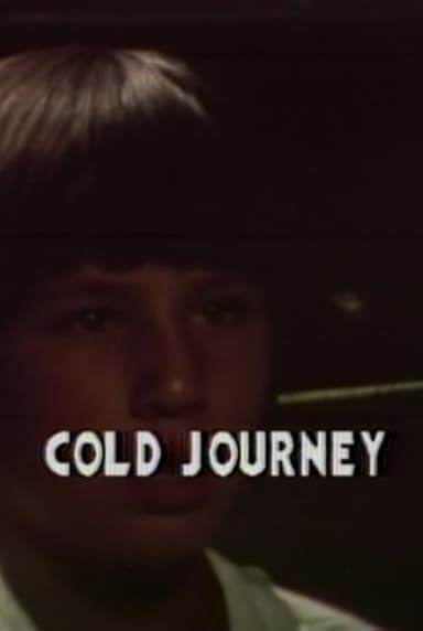 Cold Journey poster