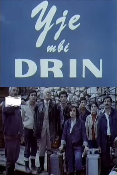 Stars Over the River Drin poster