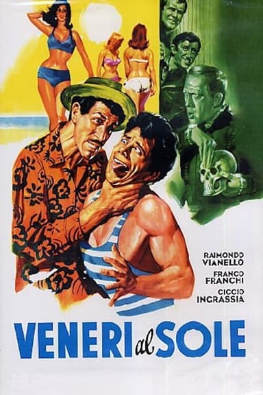 Venus in the Sun poster