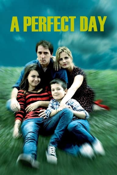 A Perfect Day poster