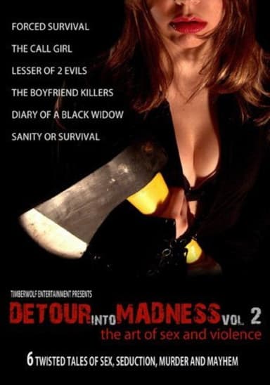 Detour Into Madness Vol. 2 poster