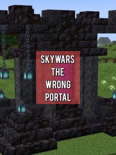 Skywars: The Wrong Portal poster