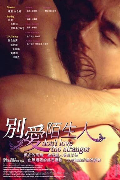 Don't Love the Stranger poster