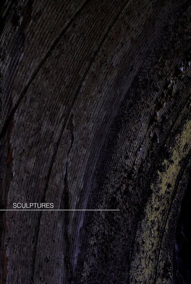 Sculptures poster