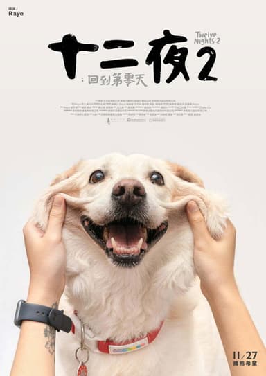 Twelve Nights 2: Back to Day Zero poster